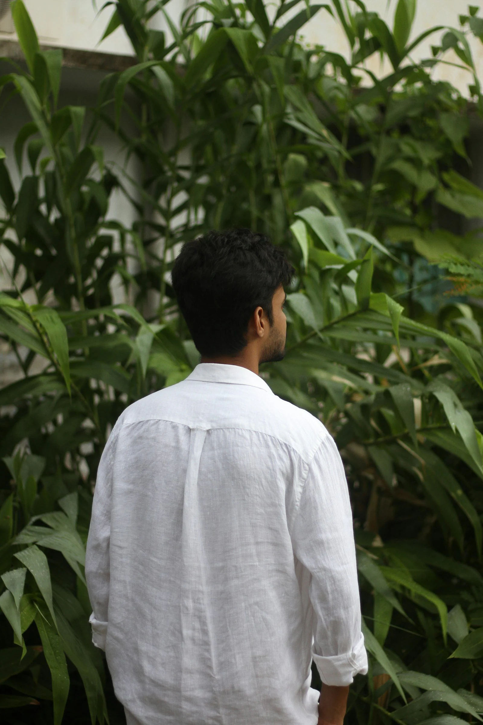 A man standing in front of a large green plant
