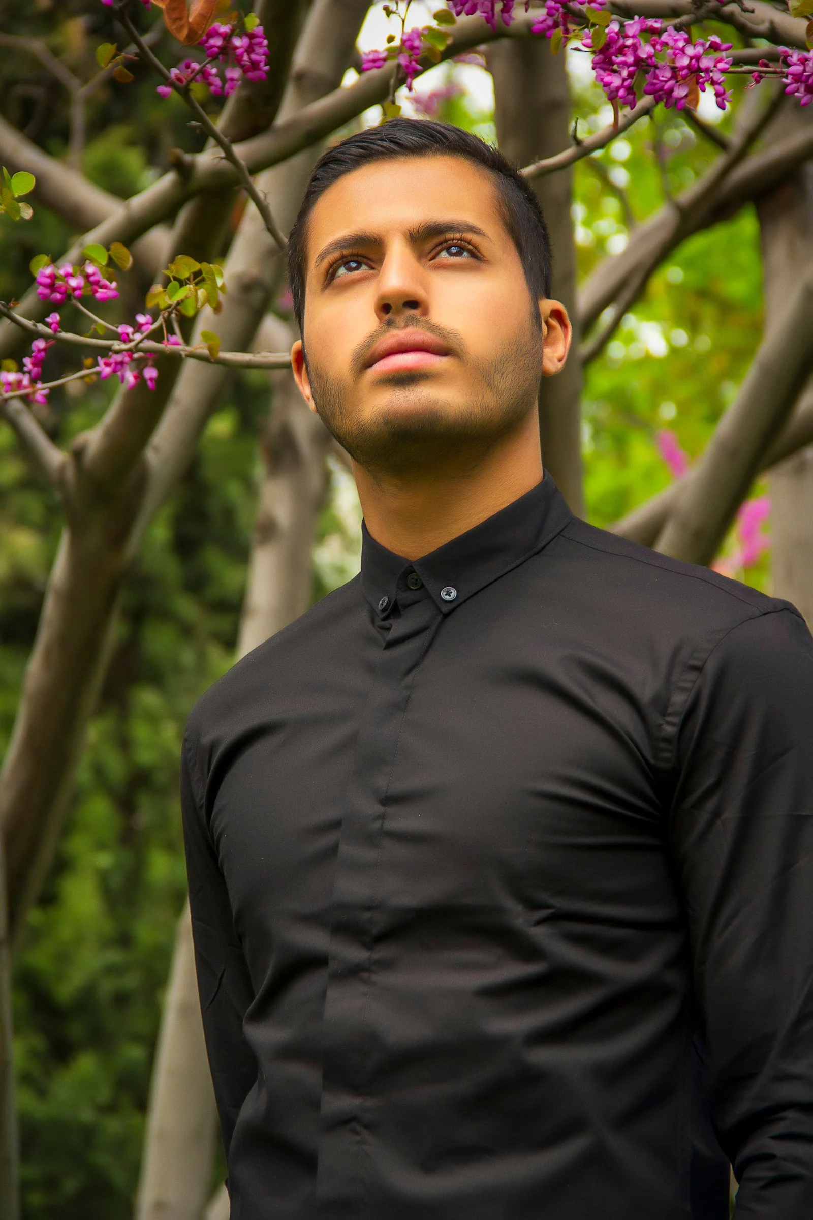 Man in black dress shirt standing near green tree during daytime